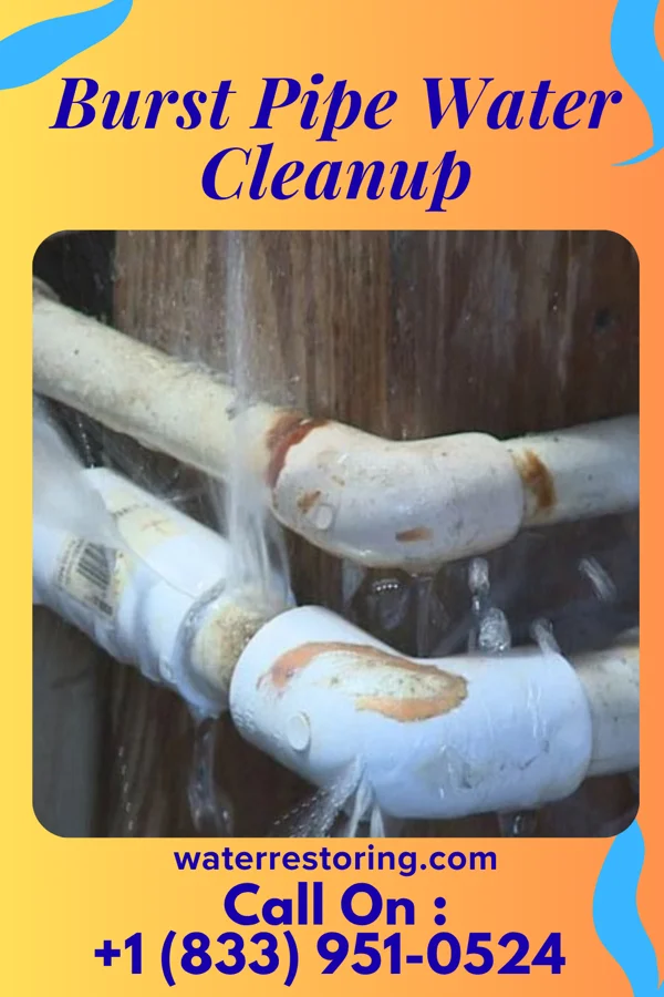 Burst Pipe Water Cleanup in Pearl Beach, MI