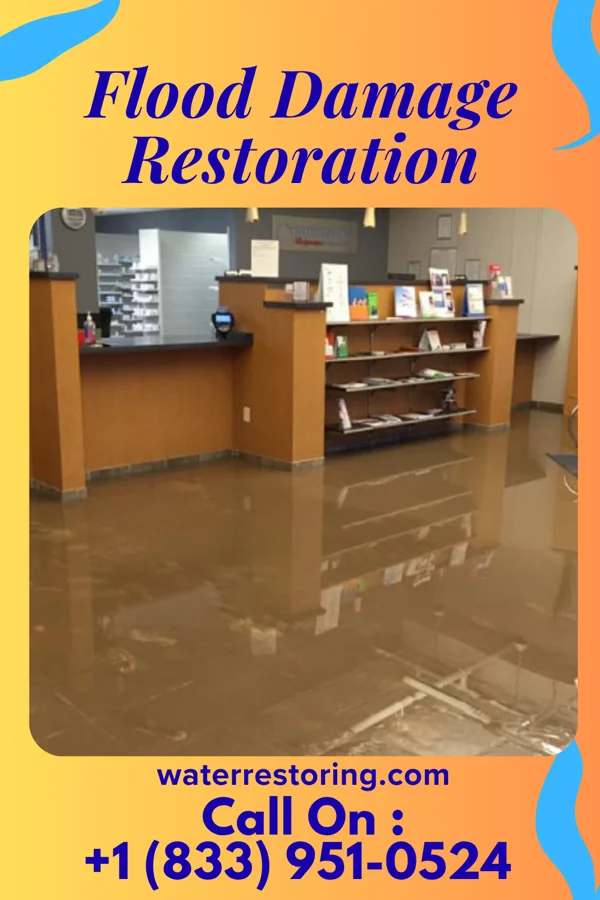 Flood Damage Restoration in Pearl Beach, MI