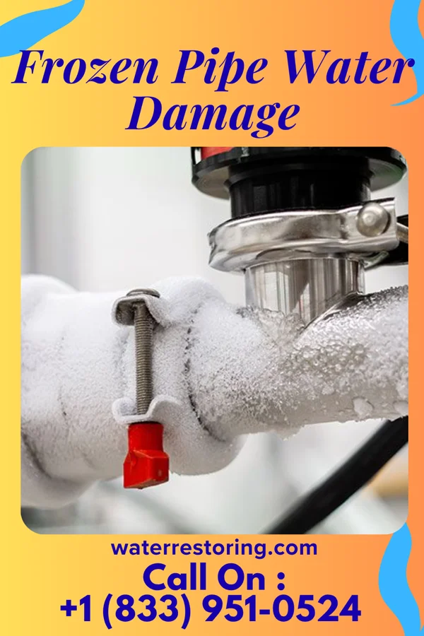 Frozen Pipe Water Damage in Pearl Beach, MI
