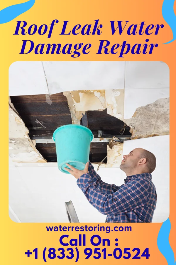 Roof Leak Water Damage Repair in Pearl Beach, MI