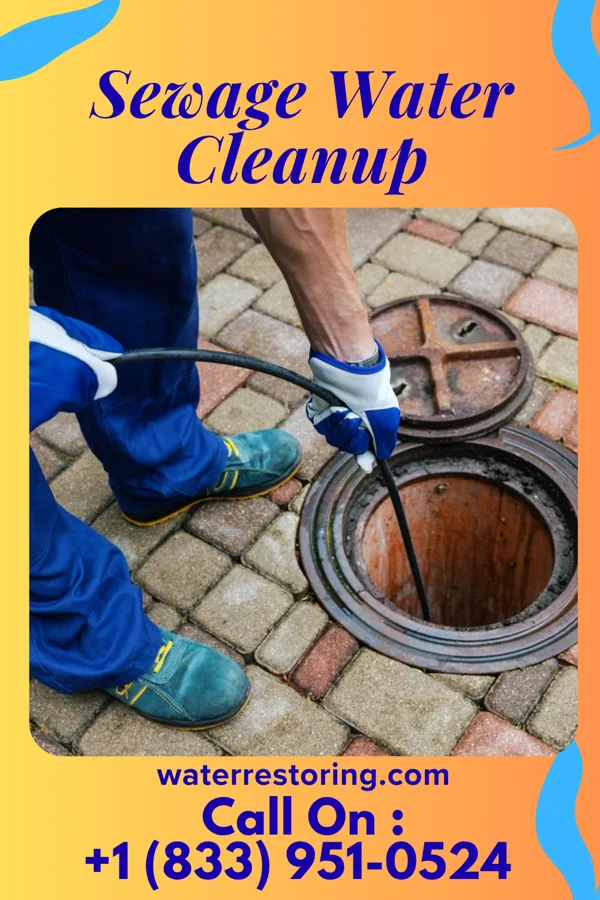 Sewage Water Cleanup in Pearl Beach, MI